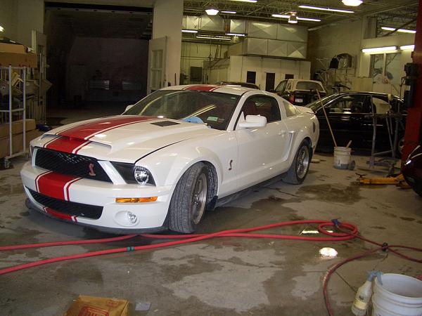 2005-2009 S-197 Gen 1 Performance White Mustang Picture Gallery-ukstang2.jpg