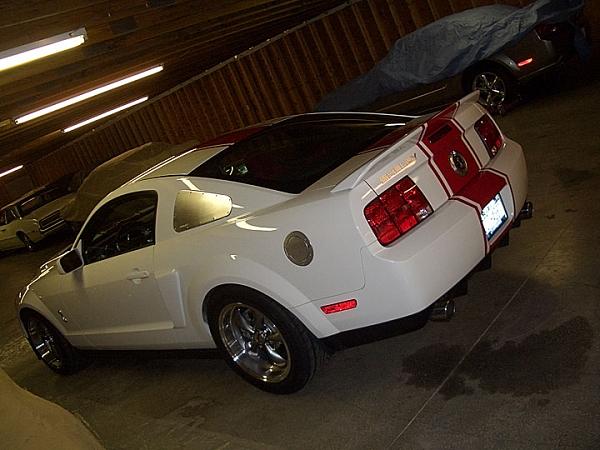 2005-2009 S-197 Gen 1 Performance White Mustang Picture Gallery-ss_2.jpg