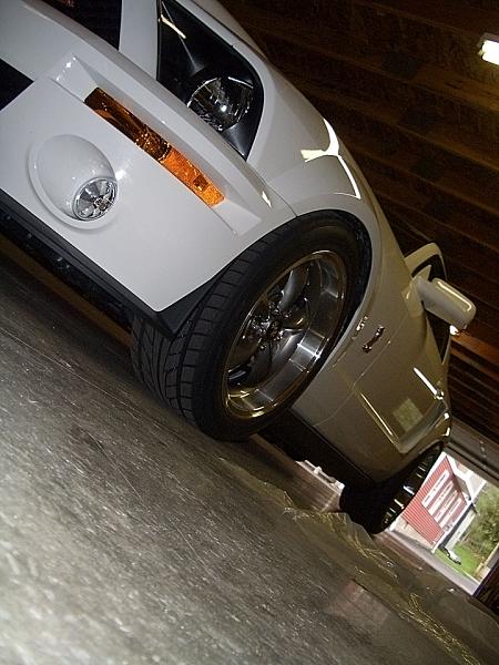 2005-2009 S-197 Gen 1 Performance White Mustang Picture Gallery-ss_4.jpg