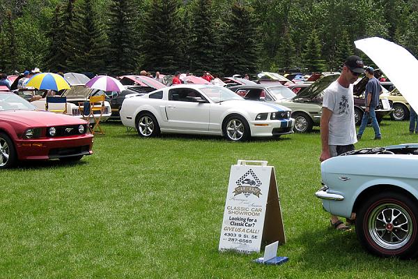 2005-2009 S-197 Gen 1 Performance White Mustang Picture Gallery-show-shine2.jpg