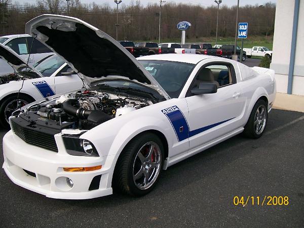 2005-2009 S-197 Gen 1 Performance White Mustang Picture Gallery-100_0253.jpg