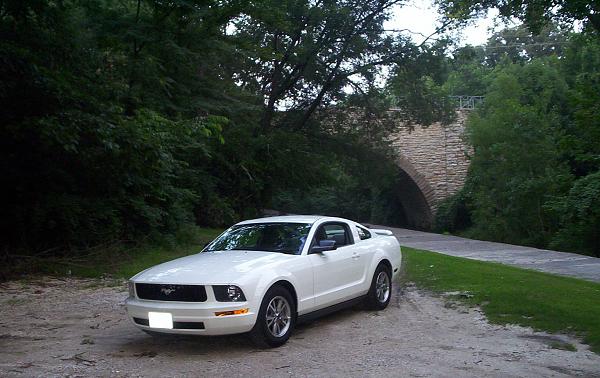2005-2009 S-197 Gen 1 Performance White Mustang Picture Gallery-5stang.jpg