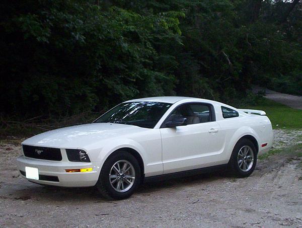 2005-2009 S-197 Gen 1 Performance White Mustang Picture Gallery-100_5809.jpg