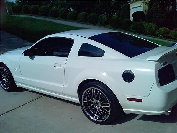 2005-2009 S-197 Gen 1 Performance White Mustang Picture Gallery-imag0136.jpg