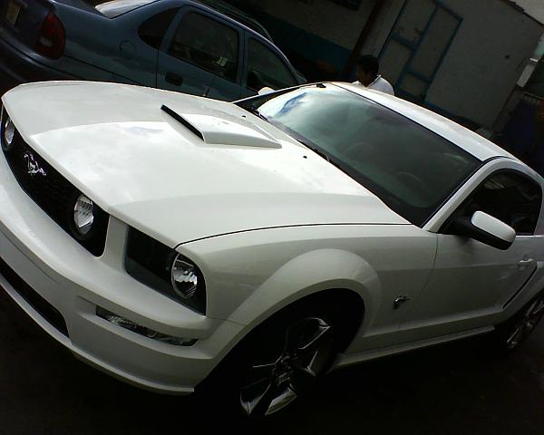 2005-2009 S-197 Gen 1 Performance White Mustang Picture Gallery-dsc00027.jpg