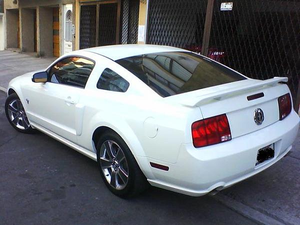 2005-2009 S-197 Gen 1 Performance White Mustang Picture Gallery-dsc00042.jpg