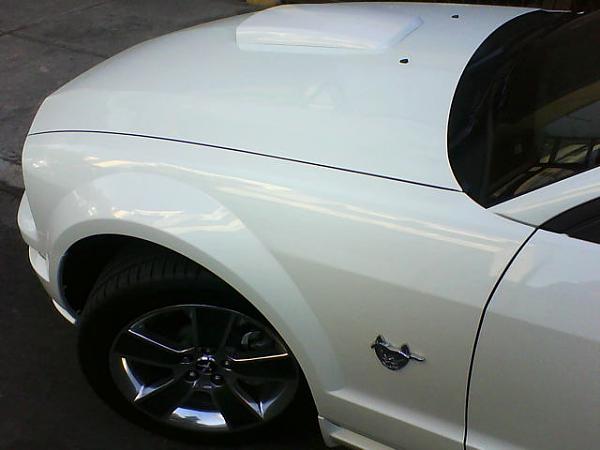 2005-2009 S-197 Gen 1 Performance White Mustang Picture Gallery-dsc00086.jpg