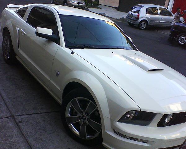 2005-2009 S-197 Gen 1 Performance White Mustang Picture Gallery-dsc00106.jpg