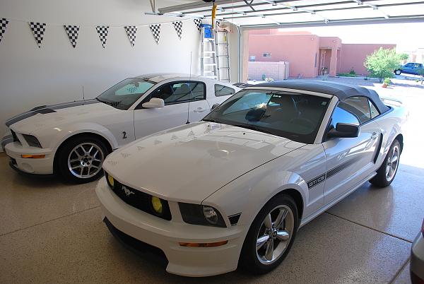 2005-2009 S-197 Gen 1 Performance White Mustang Picture Gallery-dsc_0401.jpg