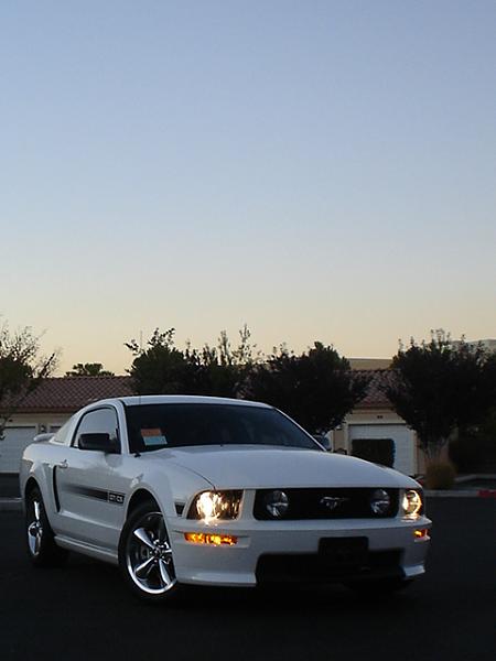 2005-2009 S-197 Gen 1 Performance White Mustang Picture Gallery-dsc09864.jpg