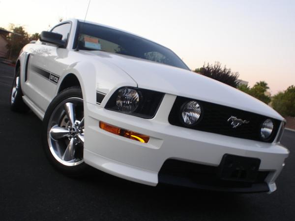 2005-2009 S-197 Gen 1 Performance White Mustang Picture Gallery-dsc09894.jpg