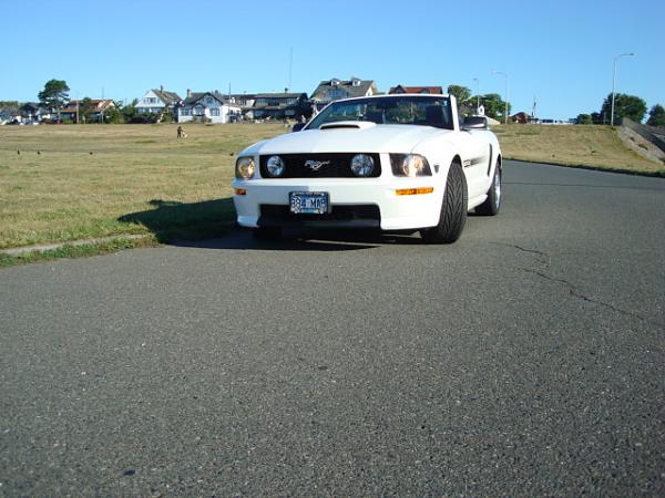 2005-2009 S-197 Gen 1 Performance White Mustang Picture Gallery-sony-12-meg-014.jpg