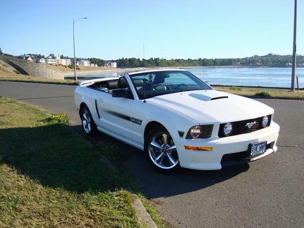 2005-2009 S-197 Gen 1 Performance White Mustang Picture Gallery-sony-12-meg-020.jpg