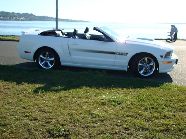 2005-2009 S-197 Gen 1 Performance White Mustang Picture Gallery-sony-12-meg-017.jpg