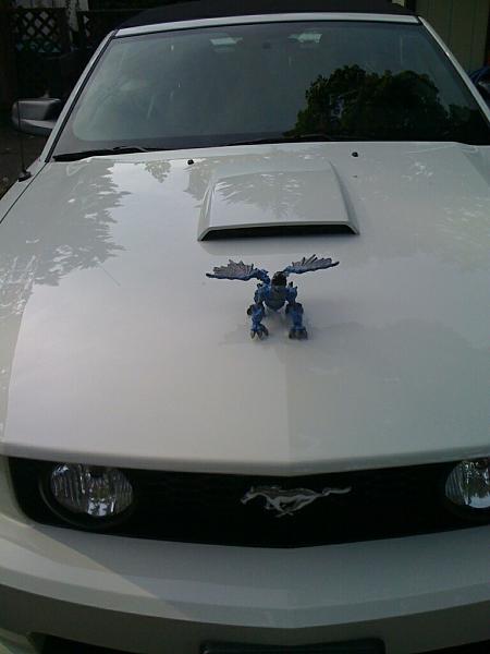 2005-2009 S-197 Gen 1 Performance White Mustang Picture Gallery-halo-odst-008.jpg