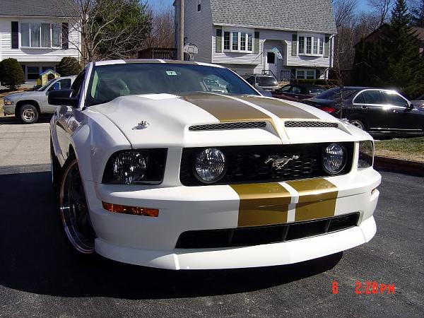 2005-2009 S-197 Gen 1 Performance White Mustang Picture Gallery-chinpixs001largee-mailview.jpg