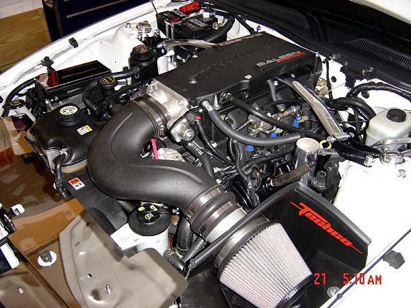 2005-2009 S-197 Gen 1 Performance White Mustang Picture Gallery-enginepics2010003standarde-mailview.jpg