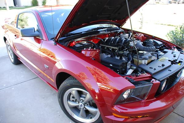 2005-2007 Mustang S-197 Gen 1 Redfire Picture Gallery-177f.jpg
