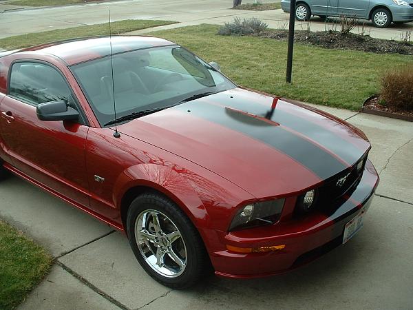 Redfire with Black Stripes-stang-stripes-006.jpg