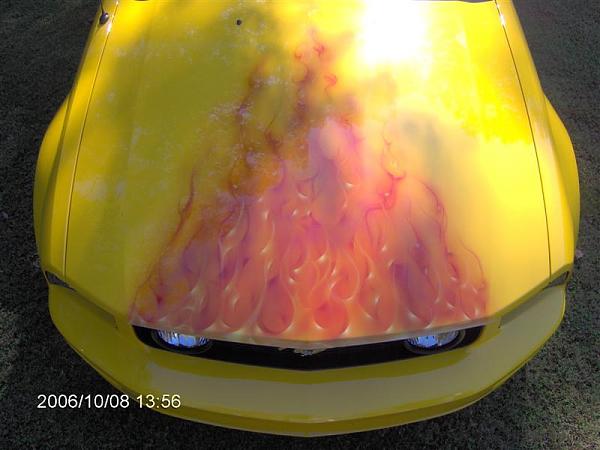 Custom Paint Job-06-07-stangs-corral-011.jpg