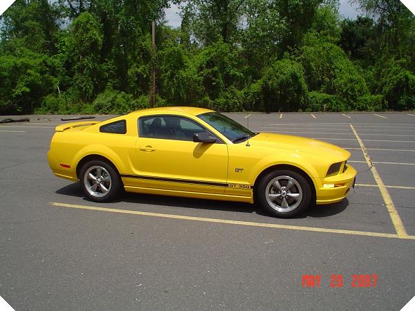 2005-2006 S-197 Gen 1 Screaming Yellow Picture Gallery-pony-1.jpg