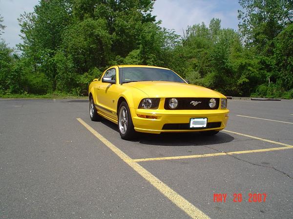 2005-2006 S-197 Gen 1 Screaming Yellow Picture Gallery-pony2.jpg