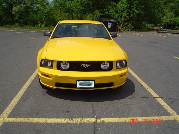 2005-2006 S-197 Gen 1 Screaming Yellow Picture Gallery-pony3.jpg
