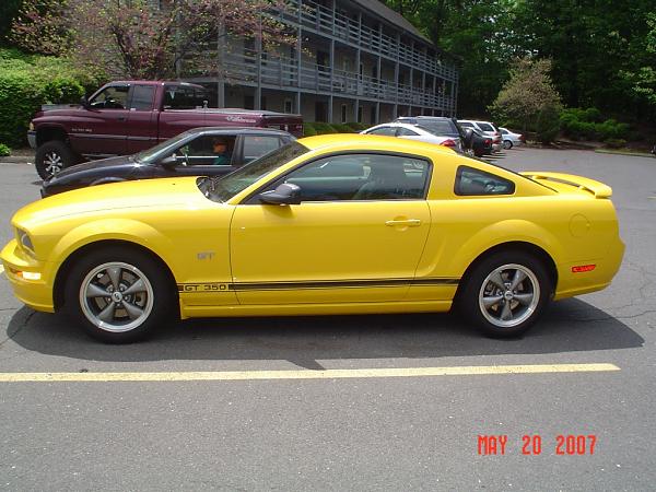 2005-2006 S-197 Gen 1 Screaming Yellow Picture Gallery-pony4.jpg