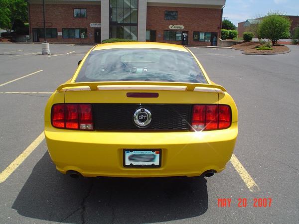 2005-2006 S-197 Gen 1 Screaming Yellow Picture Gallery-pony5.jpg