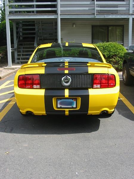 2005-2006 S-197 Gen 1 Screaming Yellow Picture Gallery-img_2702.jpg