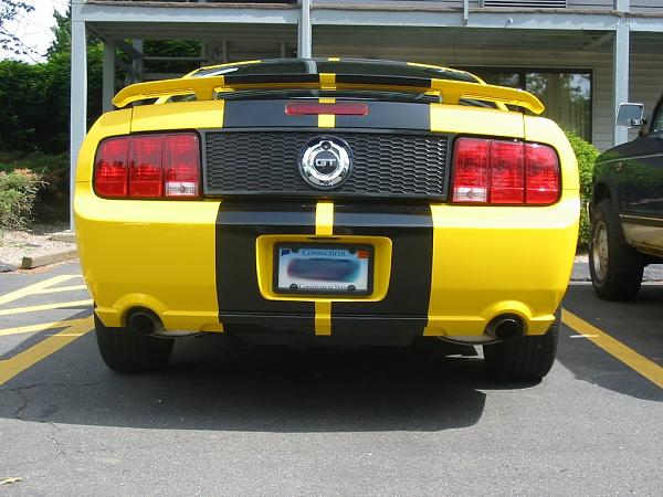 2005-2006 S-197 Gen 1 Screaming Yellow Picture Gallery-img_2703.jpg