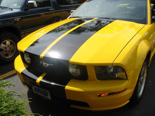 2005-2006 S-197 Gen 1 Screaming Yellow Picture Gallery-img_2705.jpg