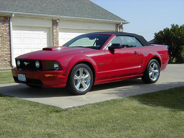 "Torch Red" owners (2005)......Head count-p1010016.jpg