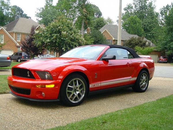 "Torch Red" owners (2005)......Head count-shelby-6-2-.jpg
