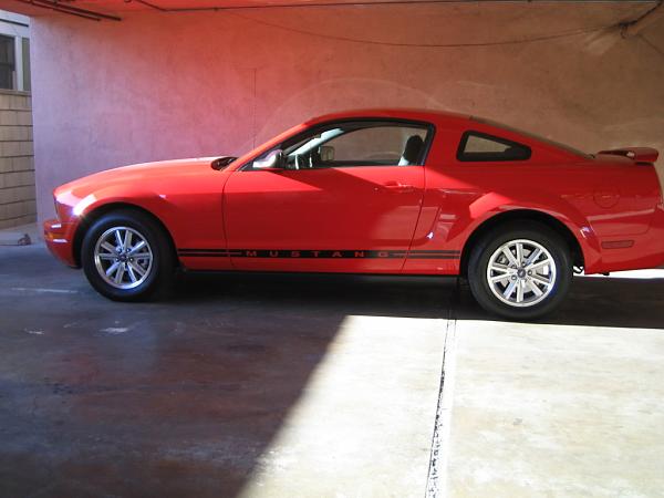 "Torch Red" owners (2005)......Head count-img_2160.jpg