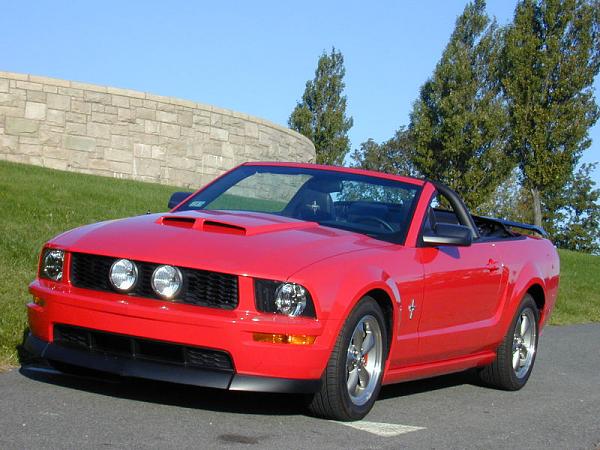 "Torch Red" owners (2005)......Head count-lars090906_3.jpg