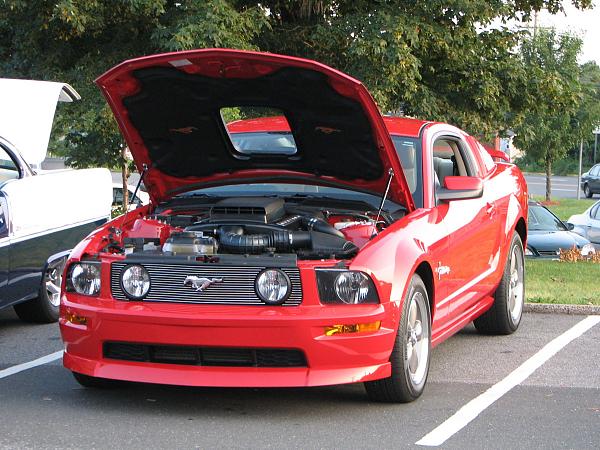 "Torch Red" owners (2005)......Head count-img_2572a.jpg