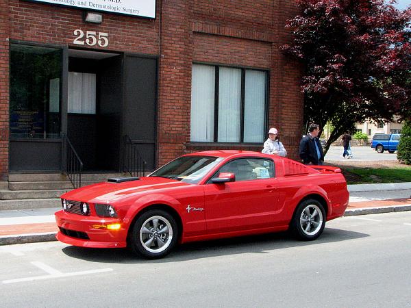 "Torch Red" owners (2005)......Head count-img_1973a.jpg