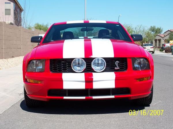 2005-2008 Ford Mustang S-197 Gen 1 Torch Red Picture Gallery-tm1.jpg
