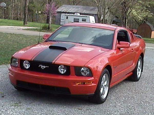 2005-2008 Ford Mustang S-197 Gen 1 Torch Red Picture Gallery-dsc00389.jpg