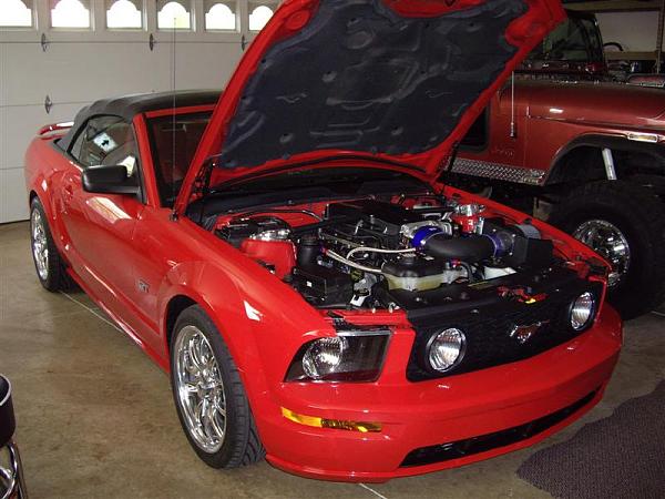 2005-2008 Ford Mustang S-197 Gen 1 Torch Red Picture Gallery-izzy-after-build-017-medium-.jpg