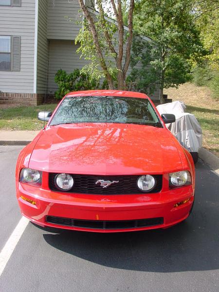 2005-2008 Ford Mustang S-197 Gen 1 Torch Red Picture Gallery-small-front.jpg