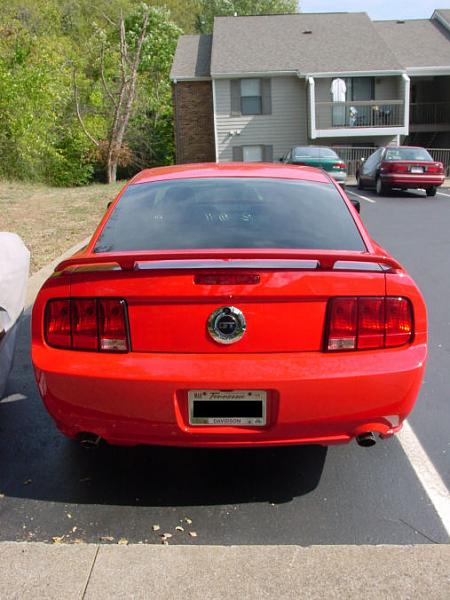 2005-2008 Ford Mustang S-197 Gen 1 Torch Red Picture Gallery-small-rear.jpg
