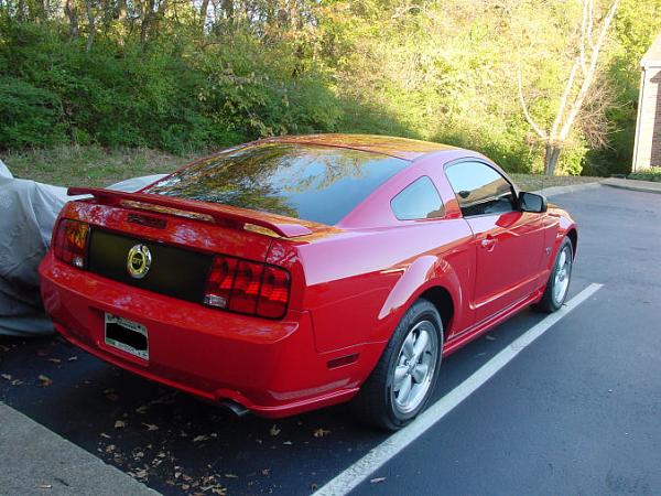 2005-2008 Ford Mustang S-197 Gen 1 Torch Red Picture Gallery-newrear2-small.jpg