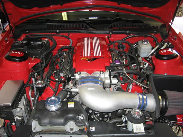 2005-2008 Ford Mustang S-197 Gen 1 Torch Red Picture Gallery-mustang-engine-2.jpg