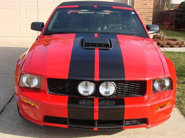 2005-2008 Ford Mustang S-197 Gen 1 Torch Red Picture Gallery-dsc01903sm.jpg