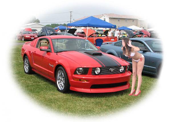2005-2008 Ford Mustang S-197 Gen 1 Torch Red Picture Gallery-ms_carliasle3aa.jpg