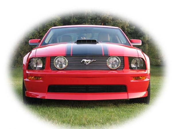 2005-2008 Ford Mustang S-197 Gen 1 Torch Red Picture Gallery-new_wheels_in_carliasle3a.jpg