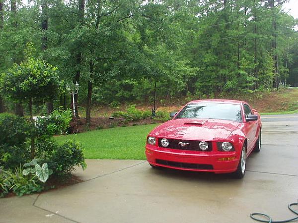 2005-2008 Ford Mustang S-197 Gen 1 Torch Red Picture Gallery-08front2.jpg