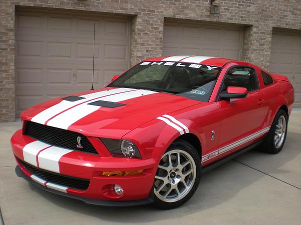 2005-2008 Ford Mustang S-197 Gen 1 Torch Red Picture Gallery-shelby7-4-3-10.jpg
